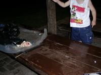 sim0027.jpg